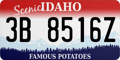 ID license plate 3B8516Z