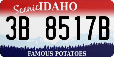 ID license plate 3B8517B