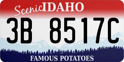 ID license plate 3B8517C