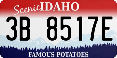 ID license plate 3B8517E