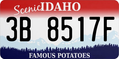 ID license plate 3B8517F