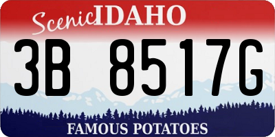 ID license plate 3B8517G