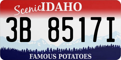 ID license plate 3B8517I