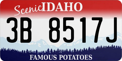 ID license plate 3B8517J