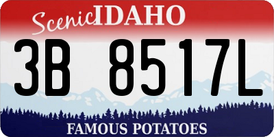 ID license plate 3B8517L