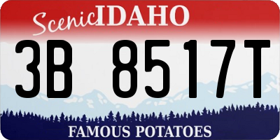 ID license plate 3B8517T