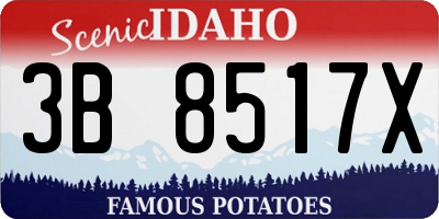 ID license plate 3B8517X