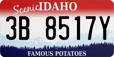 ID license plate 3B8517Y