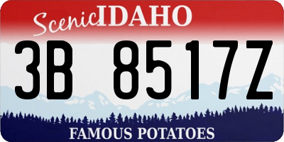 ID license plate 3B8517Z