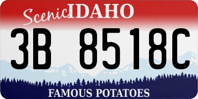 ID license plate 3B8518C