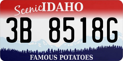 ID license plate 3B8518G
