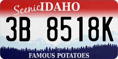 ID license plate 3B8518K