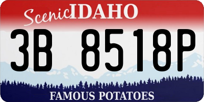 ID license plate 3B8518P