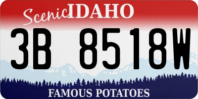 ID license plate 3B8518W