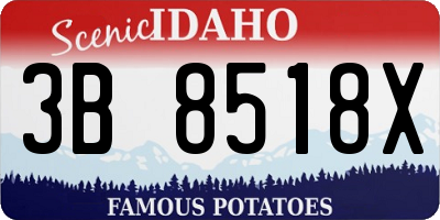 ID license plate 3B8518X