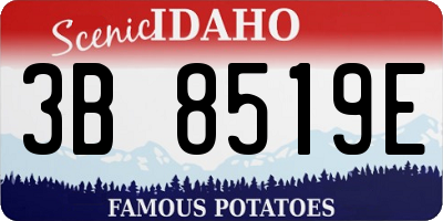 ID license plate 3B8519E