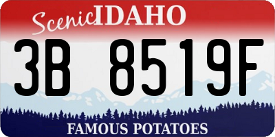 ID license plate 3B8519F