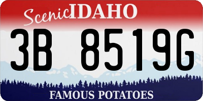 ID license plate 3B8519G