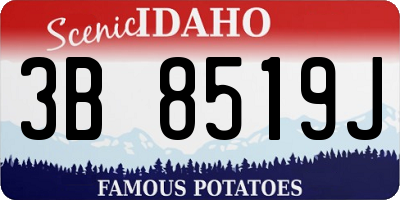 ID license plate 3B8519J