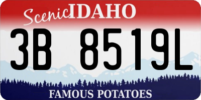 ID license plate 3B8519L