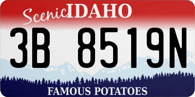 ID license plate 3B8519N