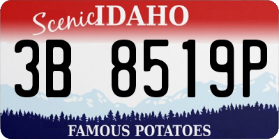 ID license plate 3B8519P