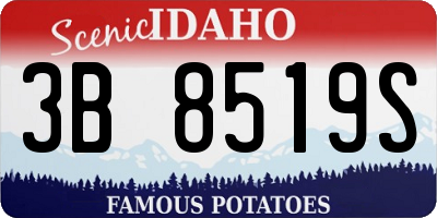 ID license plate 3B8519S