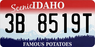 ID license plate 3B8519T
