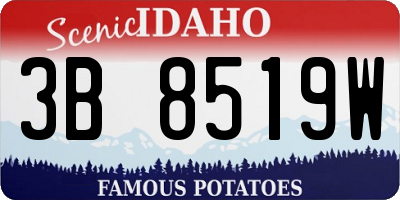 ID license plate 3B8519W