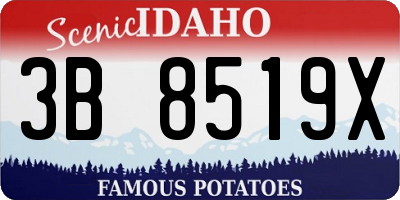 ID license plate 3B8519X