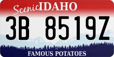 ID license plate 3B8519Z