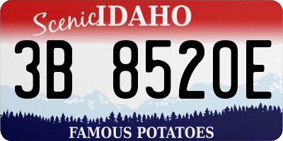 ID license plate 3B8520E