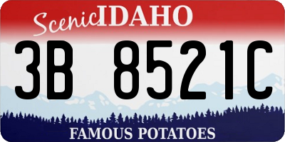 ID license plate 3B8521C