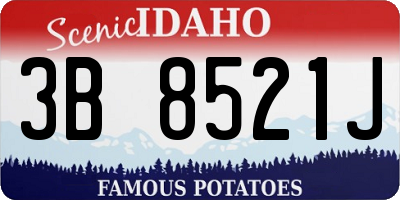 ID license plate 3B8521J