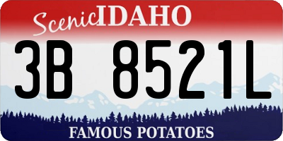 ID license plate 3B8521L