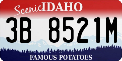 ID license plate 3B8521M