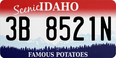ID license plate 3B8521N