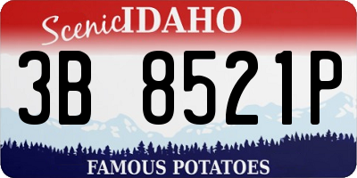 ID license plate 3B8521P