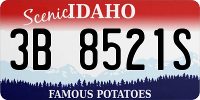 ID license plate 3B8521S