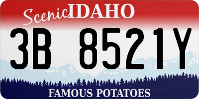 ID license plate 3B8521Y