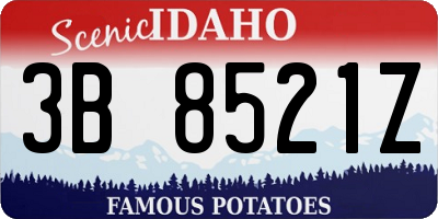 ID license plate 3B8521Z
