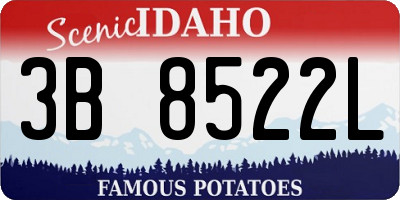 ID license plate 3B8522L