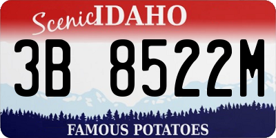 ID license plate 3B8522M