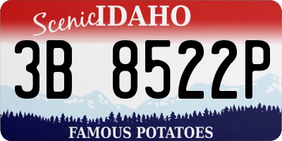 ID license plate 3B8522P