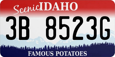 ID license plate 3B8523G