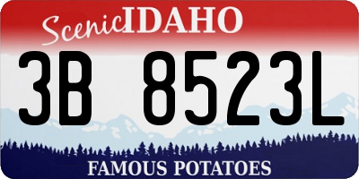 ID license plate 3B8523L