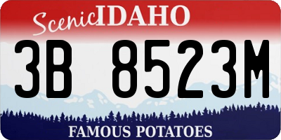 ID license plate 3B8523M