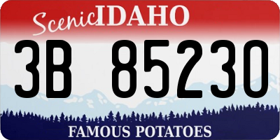 ID license plate 3B8523O