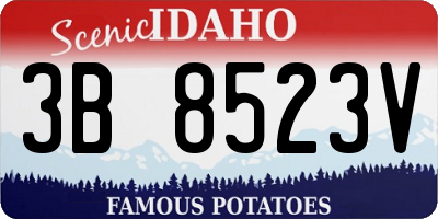ID license plate 3B8523V