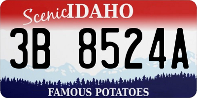ID license plate 3B8524A